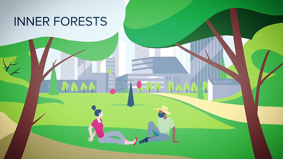 Cities4Forests   Highlighting the Value of Forests for Cities
